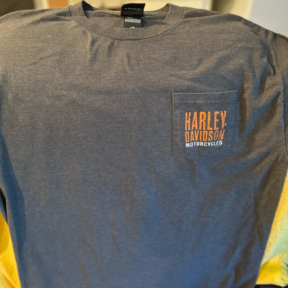 Harley-Davidson Charcoal and Orange Tee